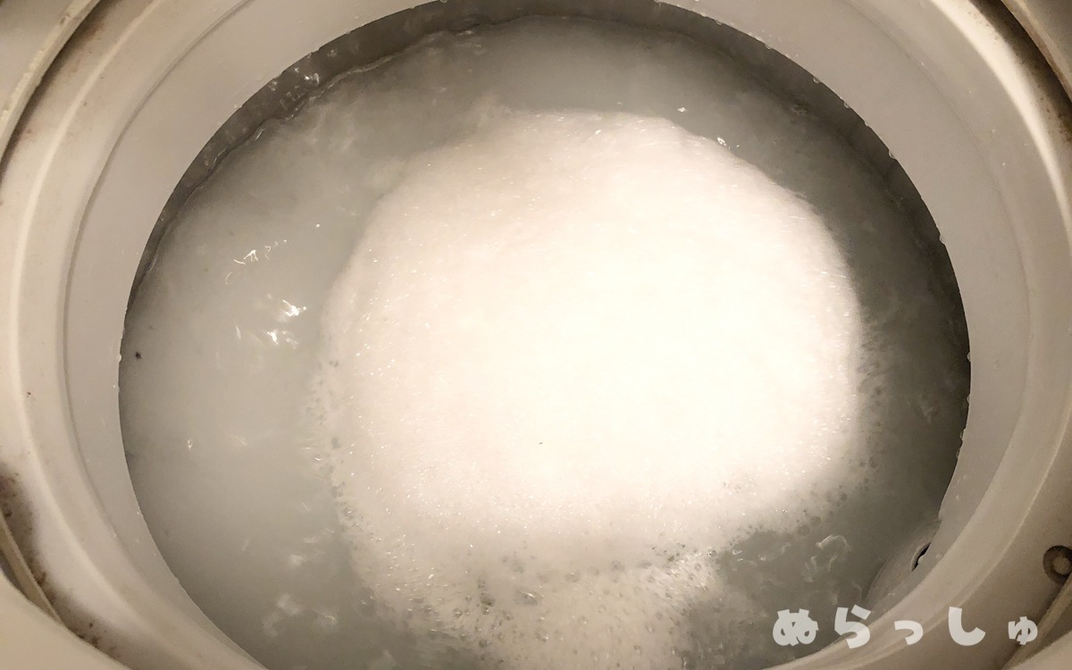 洗濯槽掃除